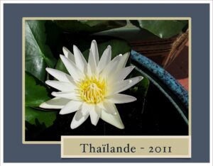 Lire la suite à propos de l’article Thaïlande – 2011