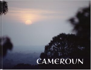 Lire la suite à propos de l’article Cameroun en co-opération
